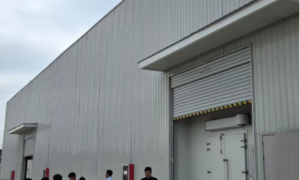 合肥市高端冷藏库建设实力公司推荐