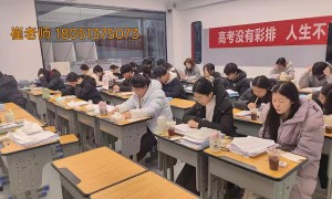 卓尔教育服务怎么样