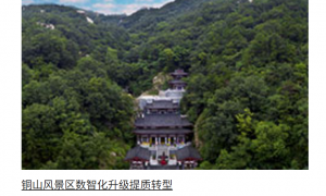 2026年湖南省省内AI+文旅运营服务乡村振兴服务商行业现状与正规商家选择指南