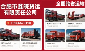2026年合肥正规的合肥到山东运输公司实力参考