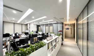 2026年正规财税代理机构，省心不踩坑的服务商汇总
