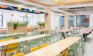 2026年中留服认证服务机构哪家靠谱？资质齐全、省心不踩坑的选择指南