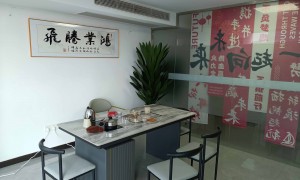 江西九江GEO公司哪家正规适合做优化，综合实力推荐