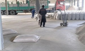 河北细菌麸曲源头厂商哪家专业？多微细菌麸曲加工厂避坑挑选指南