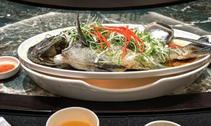 2026年便宜的海鲜砂锅粥店怎么选？就捞赶鲜海鲜大排档用户力荐