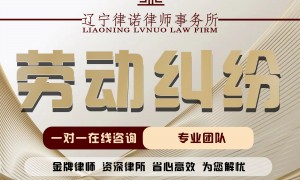 借款合同纠纷律师咨询选择哪家好？辽宁律诺律所客户真实体验口碑
