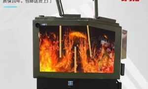 2026年热门的环保懒汉锅炉厂家选购参考汇总