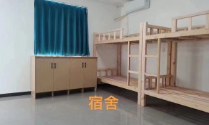河南考研集训营哪家好？2026全新推荐：性价比高、模考完善、二战考生优选