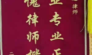口碑好的分家析产婚姻律师律所实力与用户口碑深度解析