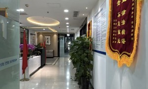 大能律所性价比怎么样