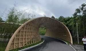 仿竹铝竹商哪家权威？客户真实体验口碑与挑选全攻略