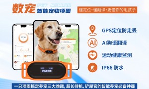 想入手洗宠机怎么联系商家？数宠科技靠谱源头厂家推荐