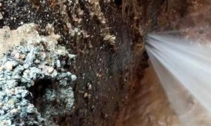 2026年墙壁渗水防水维修服务商实力测评与口碑汇总
