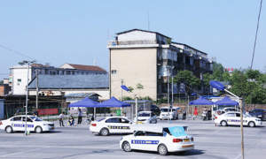 2026年靠谱的常德大货车教练车培训学校，行业口碑好的机构