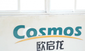 哈萨克斯坦口碑高的PVC装饰膜供应商实力推荐：行业全景分析与选择指南