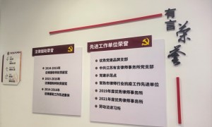 劳动法律师张雪松客户评价好吗？律所企业用工风险防控实力如何