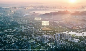 2026年杭州改善自住优选：枫丹玫瑰园排屋院子与周边医疗资源怎么样