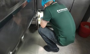 2026年靠谱的灭鼠公司盘点，专业除虫服务商排名前五