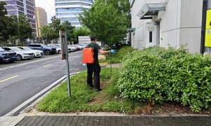 2026年南京靠谱的专业灭鼠机构避坑挑选指南，行业观察与实务选择参考
