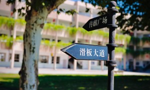 2026年浙江AI智慧教学学校哪家升学率高，靠谱机构选择指南