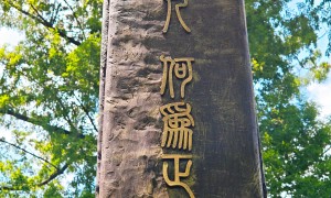2026年AI智慧教学学校哪家教学佳，用户力荐
