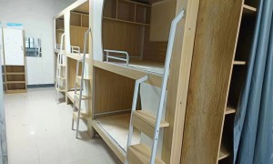 2026年排名前五的带衣柜上下床厂家，环保无漆上下床制造厂家靠谱商家测评排名