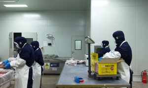 河南顶信食品有限公司专业吗