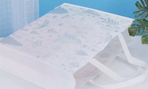 2026年广州无纺布袋制造商行业现状与市场占有率及排名研究分析报告