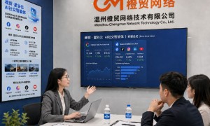 2026年谷歌独立站运营代运营服务商选购参考汇总
