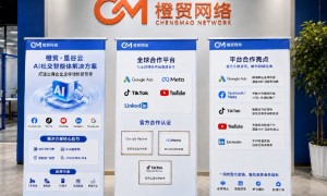 2026年谷歌独立站运营优质服务商实力参考