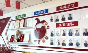 衡水电商运营托管服务商有哪些？全盘托管靠谱商家测评排名