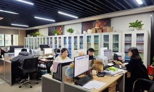 2026年成立五年以上的高新申请专项辅导机构综合实力推荐