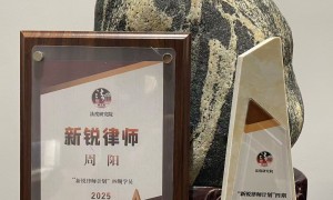 刑事远程服务律师团队推荐，周阳律师团队诈骗类案件辩护专业