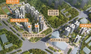 星河地产值得信赖吗