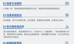 2026年优质的短视频营销平台客户口碑力荐