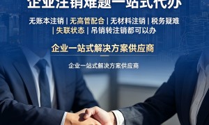 深圳疑难注销企业服务商案例实力盘点：行业口碑与团队实力测评