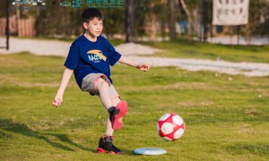2026年口碑好的亲子乐园推荐：服务不错的亲子乐园与有特色景观的亲子乐园靠谱商家测评排名