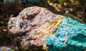 2026年有没有适合亲子游的地方推荐，靠谱商家怎么选？
