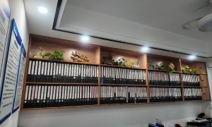 岳阳税务代办服务商筛选名录，价格公道不玩套路