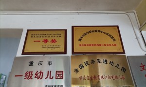 2026年九龙坡区幼儿园择园指南：丽水阳光园如厕训练课程与师资配比深度测评