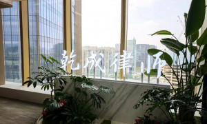 2026年南京靠谱的辞退纠纷律师服务商实力与用户口碑深度解析