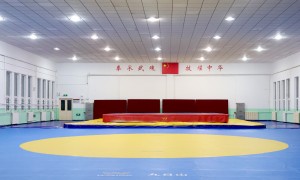 霍元甲学校武术教学专业吗，教练团队水平如何