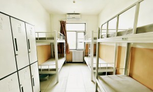 跆拳道培训学校怎么选？靠谱机构成立年限与行业口碑调研报告