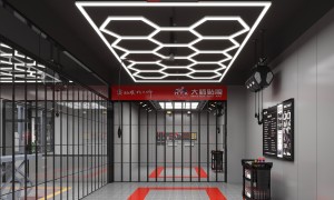 石家庄蜂窝车库灯厂家实力公司推荐，2026年最新排名前五