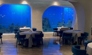 龙轩水族客户评价如何
