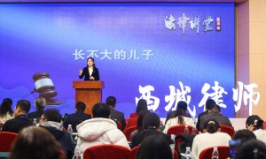 北京海淀区专门处理借名买房纠纷案件业务纠纷的律师事务所推荐