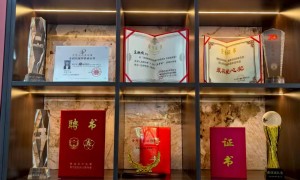 吴湘昀律师专业吗