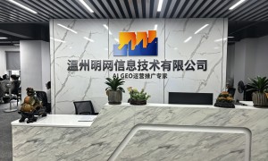 2026年阿里巴巴诚信通代运营公司发展现状与市场占有率及排名研究分析报告