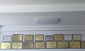 2026年靠谱的密封胶制造厂售后好出现胶体开裂快速处理发展现状与市场占有率及排名研究分析报告