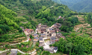 2026年青田旅游景点选哪里好？本地人推荐的必游打卡地